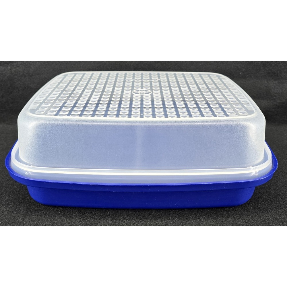 Vtg Tupperware Season-Serve Marinade Container Meat 1295 Blue w/ Lid‎ Grilling